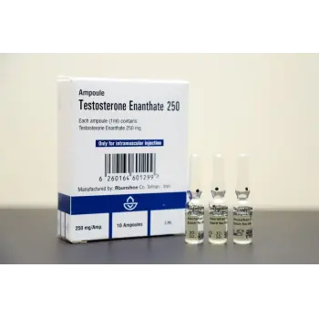 Testosterone Enanthate 250